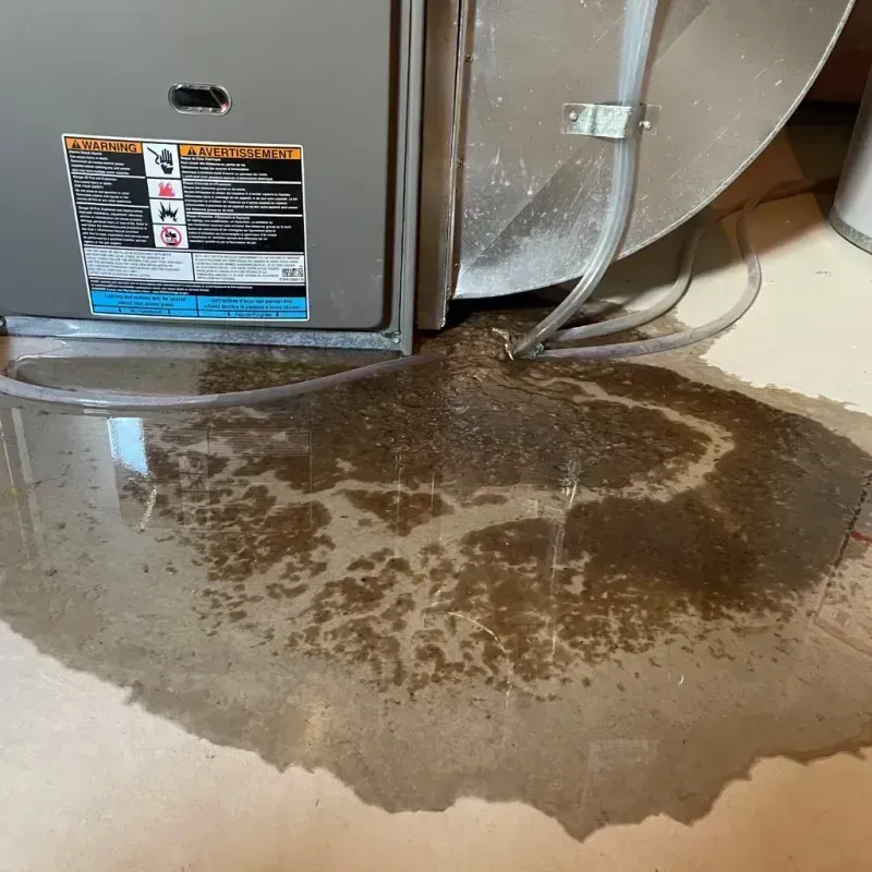 Appliance Leak Cleanup in Boron, CA